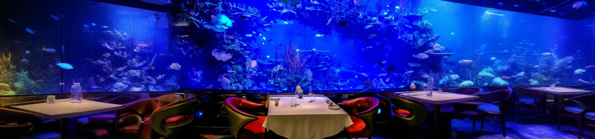 Al_Mahara_photo60175