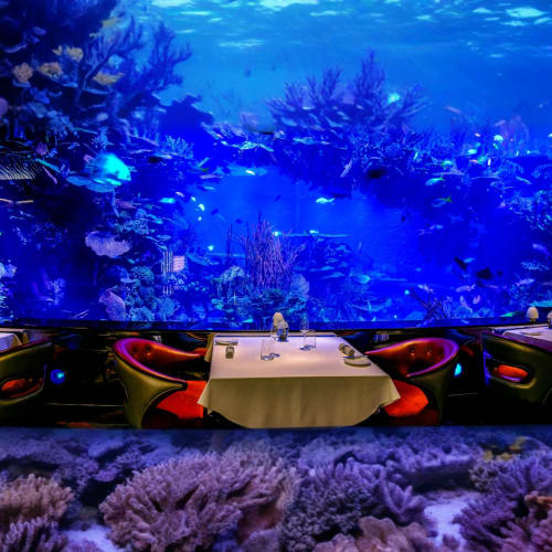 https://d1i3enf1i5tb1f.cloudfront.net/Tour-Images/Final/Al-Mahara-At-Burj-Al-Arab-509790/1758871904270_S.jpg
