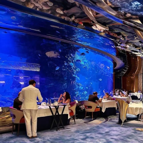https://d1i3enf1i5tb1f.cloudfront.net/Tour-Images/Final/Al-Mahara-At-Burj-Al-Arab-509790/1761646462519_S.jpg