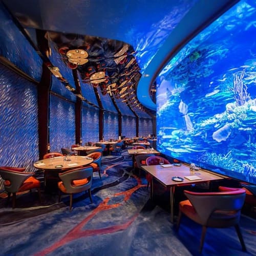 https://d1i3enf1i5tb1f.cloudfront.net/Tour-Images/Final/Al-Mahara-At-Burj-Al-Arab-509790/1761646544650_S.jpg