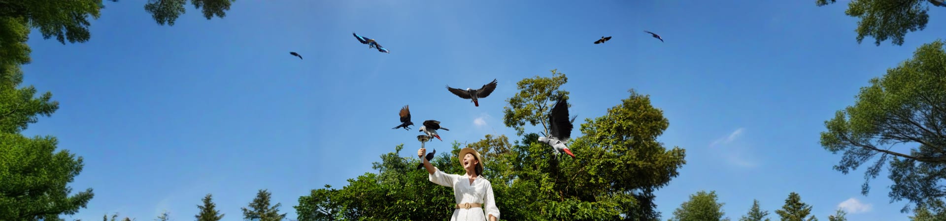 bird-paradise-singapore