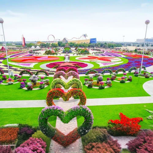 https://d1i3enf1i5tb1f.cloudfront.net/Tour-Images/Final/Butterfly-Garden-Dubai-173054/1750945971645_S.jpg