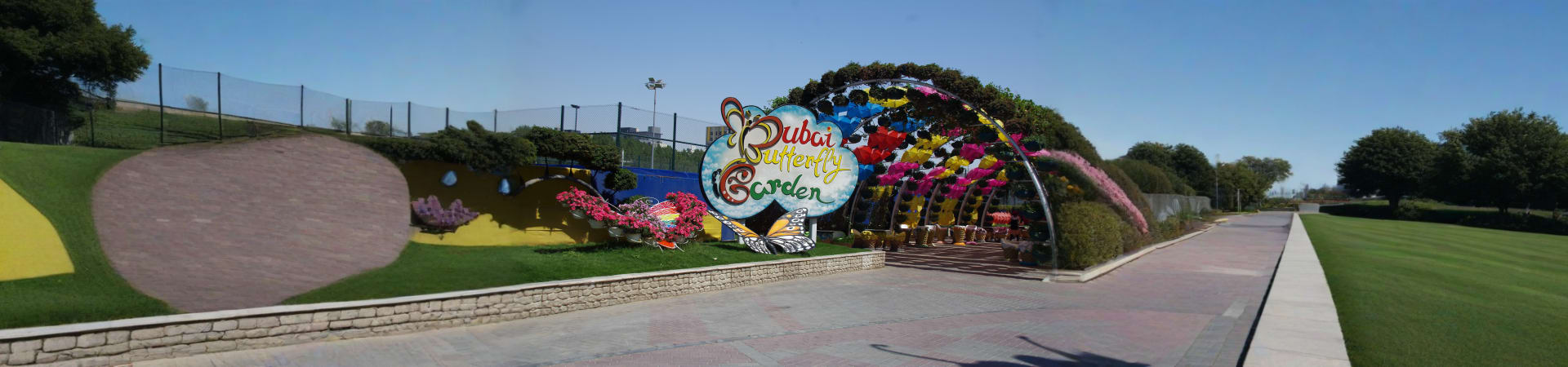 dubai-butterfly-garden
