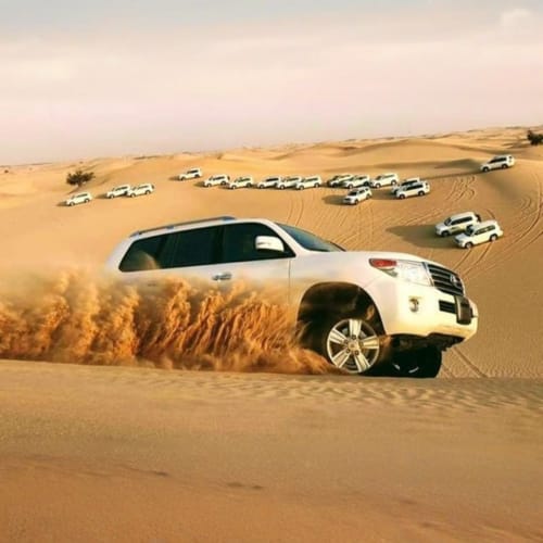 https://d1i3enf1i5tb1f.cloudfront.net/Tour-Images/Final/Desert-Safari-with-Dinner-In-RAK-509588/1756720272653_S.jpg