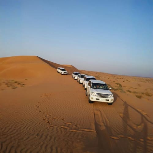 https://d1i3enf1i5tb1f.cloudfront.net/Tour-Images/Final/Desert-Safari-with-Dinner-In-RAK-509588/1756720678909_S.jpg