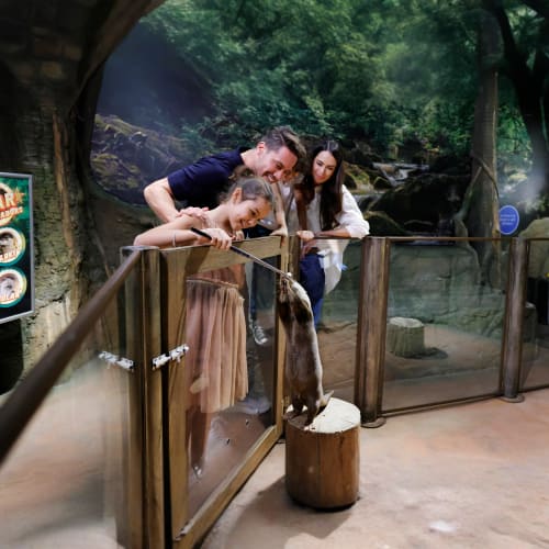 https://d1i3enf1i5tb1f.cloudfront.net/Tour-Images/Final/Dubai-Aquarium-and-Penguin-Encounter-508169/1759918943286_S.jpg