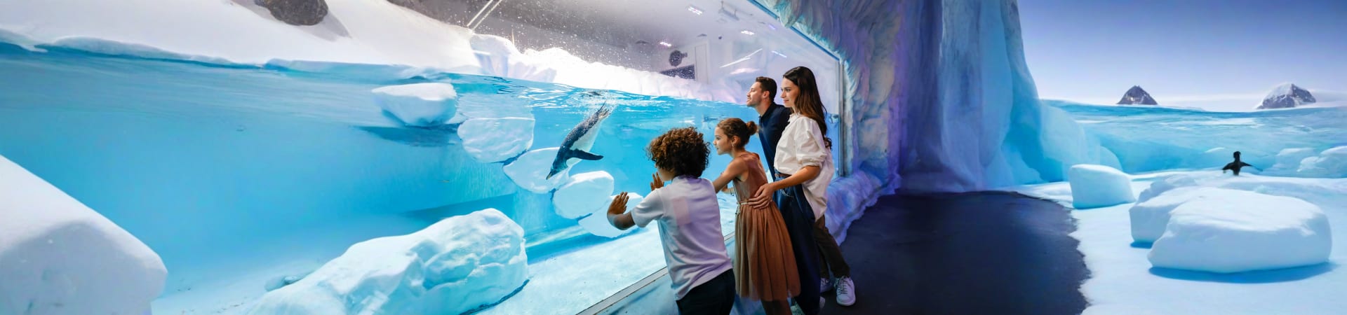 dubai-mall-aquarium-underwater-zoo-dubai-uae