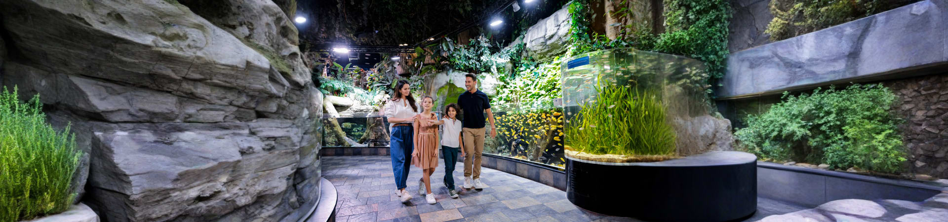 dubai-mall-aquarium-underwater-zoo-dubai-uae