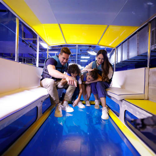 https://d1i3enf1i5tb1f.cloudfront.net/Tour-Images/Final/Dubai-Aquarium-and-Underwater-Zoo-3636/1759917995319_S.jpg