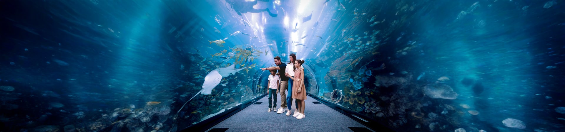 dubai-mall-aquarium-underwater-zoo-dubai-uae