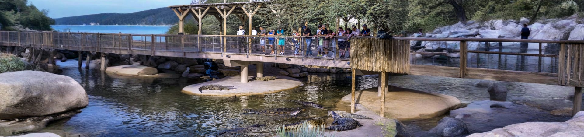 Dubai Crocodile Park