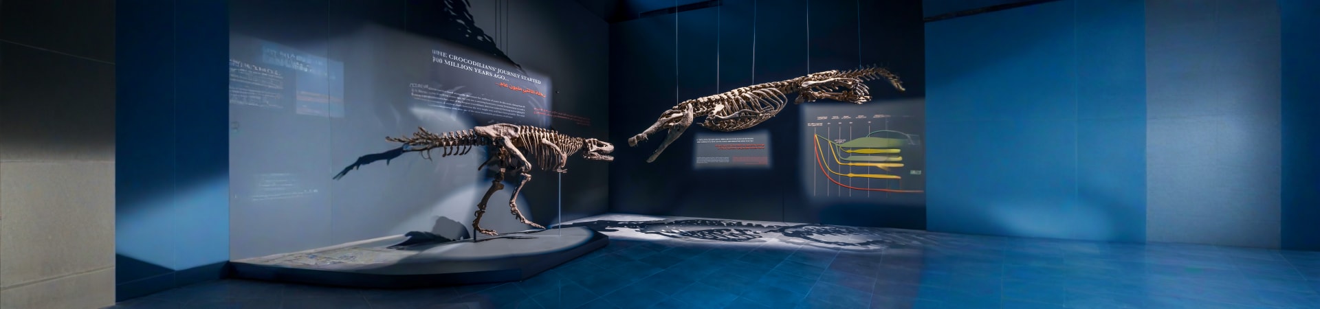 Dubai Crocodile Park