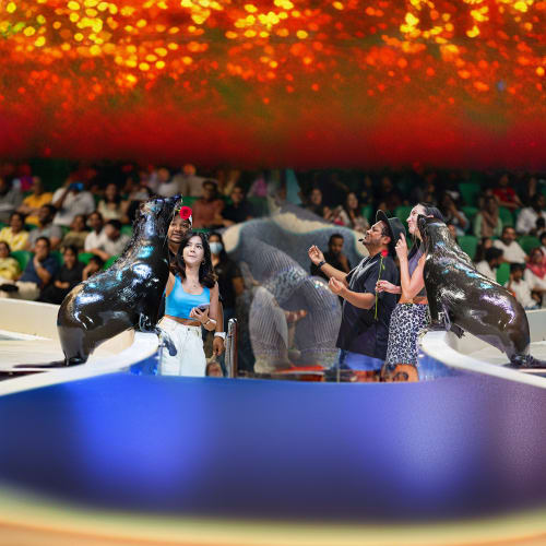 seal_show_dubai_aquarium