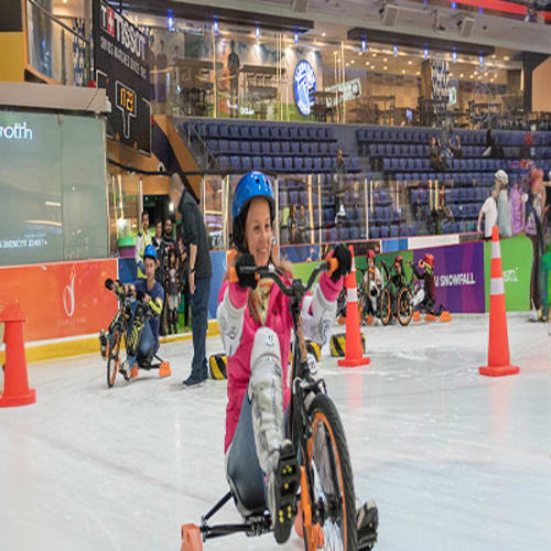 https://d1i3enf1i5tb1f.cloudfront.net/Tour-Images/Final/Dubai-Ice-Rink-44410/1725607105274_S.jpg