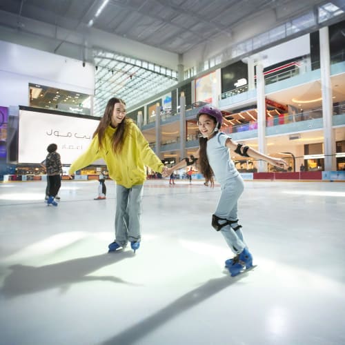 https://d1i3enf1i5tb1f.cloudfront.net/Tour-Images/Final/Dubai-Ice-Rink-44410/1759921558919_S.jpg