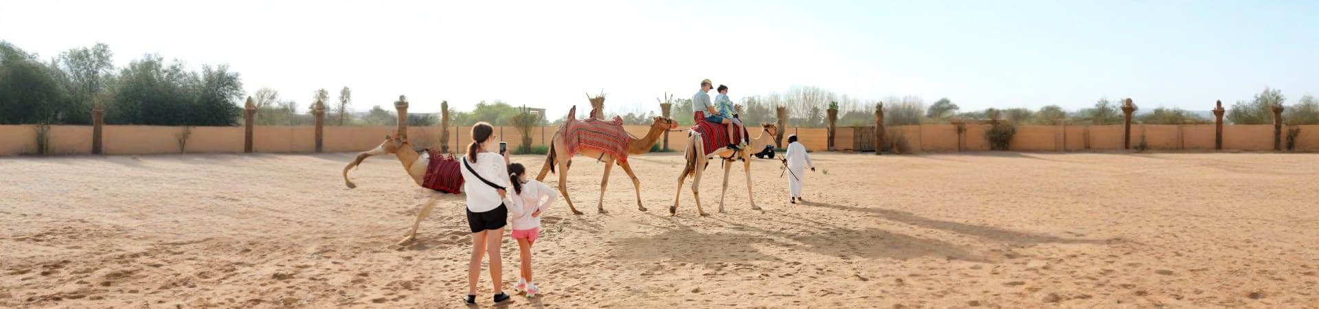Camel Ride