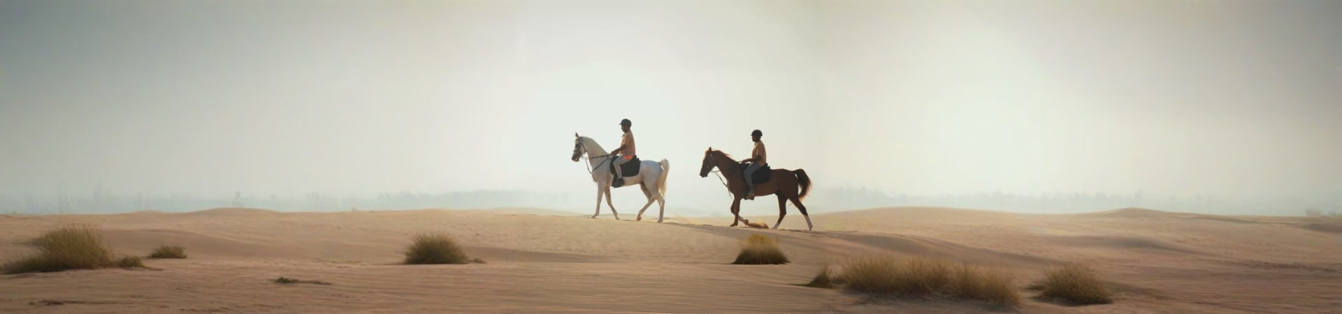 Horse Riding At Abu Dhabi
