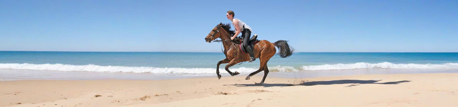 Horse Riding At Abu Dhabi