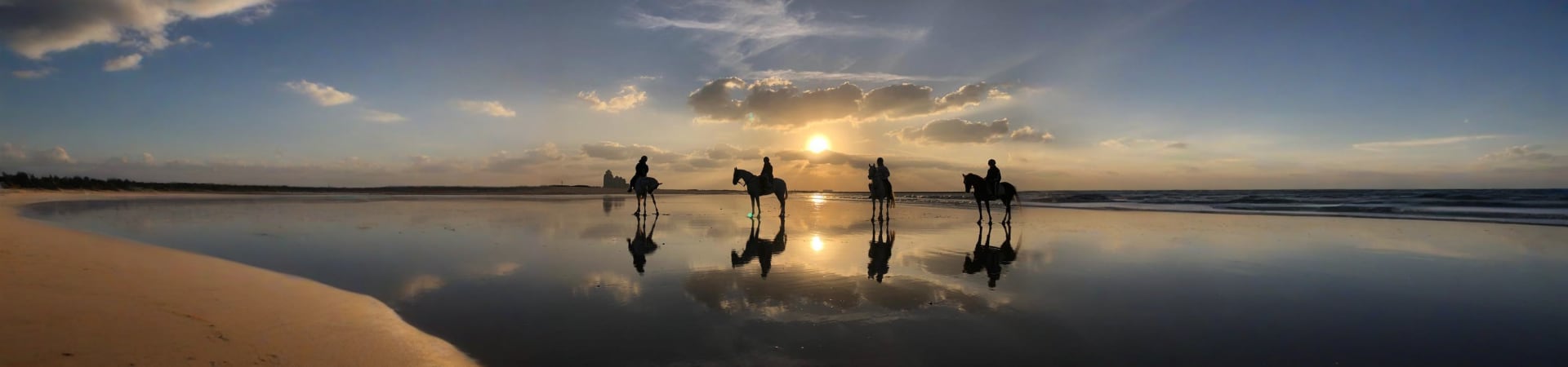 Horse Riding At Abu Dhabi