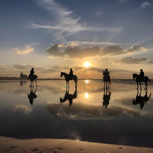 horse-riding-at-abu-dhab