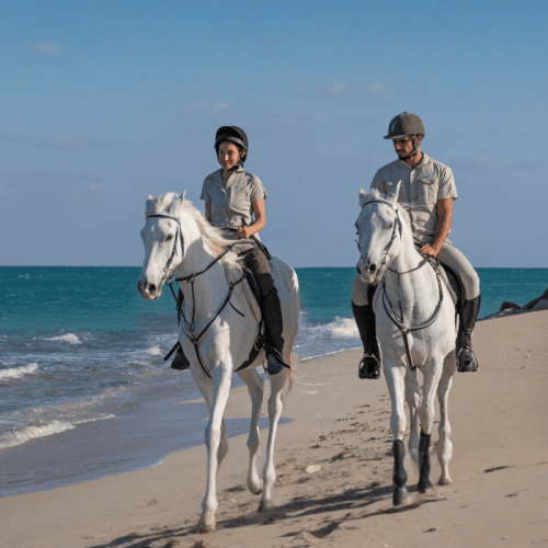 https://d1i3enf1i5tb1f.cloudfront.net/Tour-Images/Final/Horse-Riding-at-Abu-Dhabi-509238/1760529958059_S.jpg