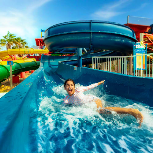 https://d1i3enf1i5tb1f.cloudfront.net/Tour-Images/Final/Legoland-Water-Park-5091/1759914556953_S.jpg