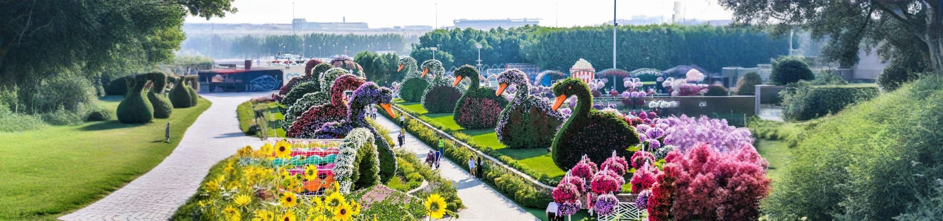 miracle-garden
