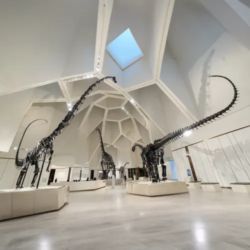 Abu_Dhai_Natural_Museum