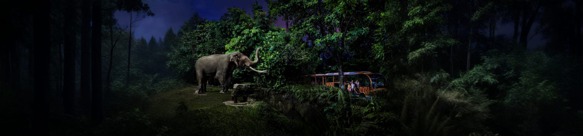 night_safari_singapor