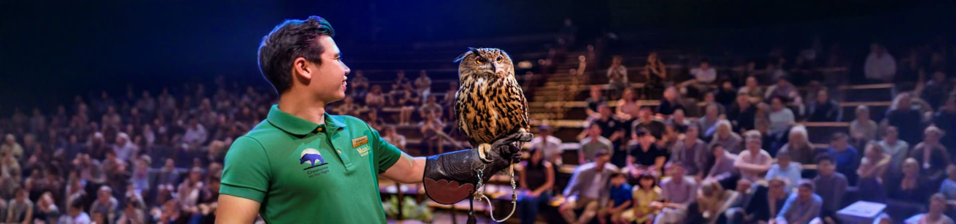 night_safari-in-singapor