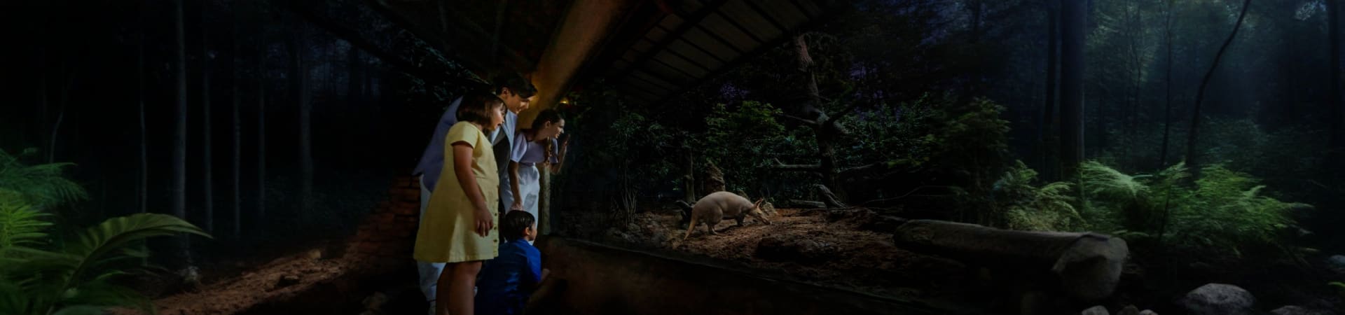 sinagpore_night_safari