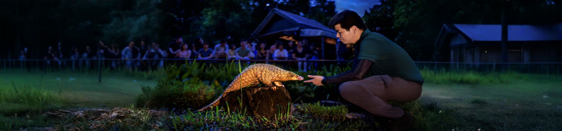 sinagpore_night_safari_singapore