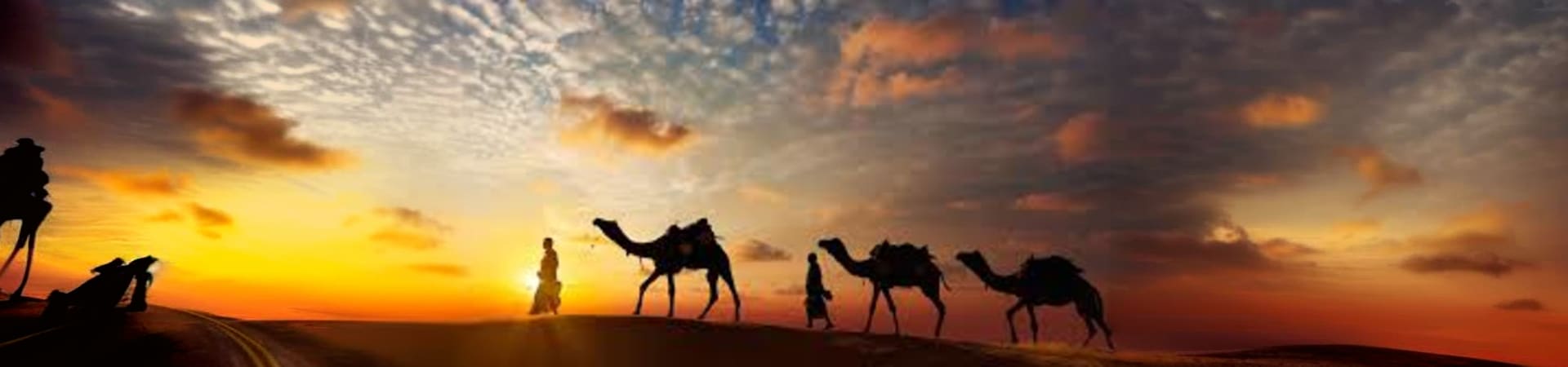 camel_walk
