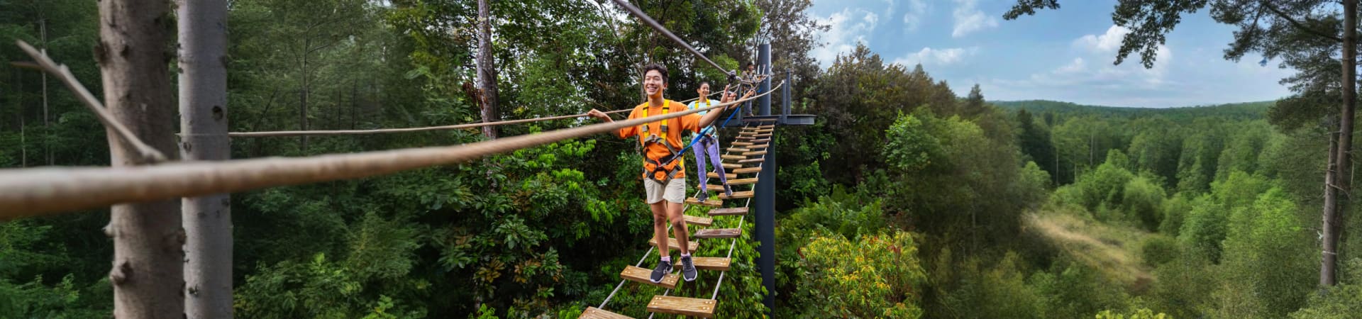 rainforest-wild-asia