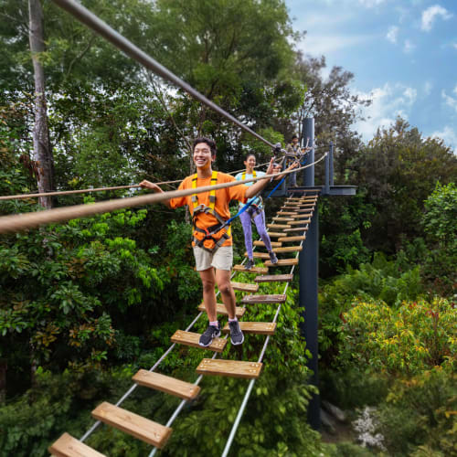 rainforest-wild-asia