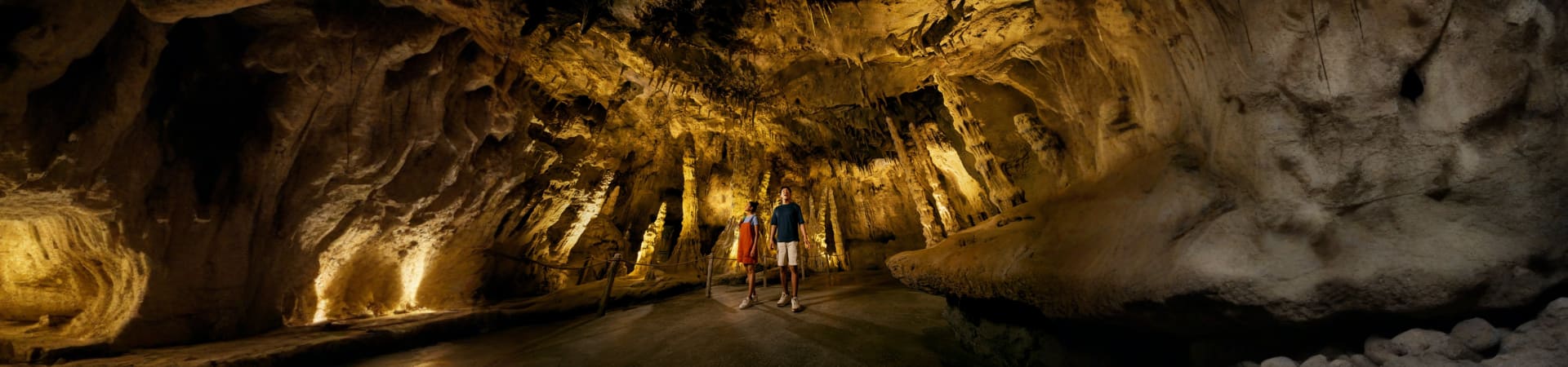 rainforest-wild-asia