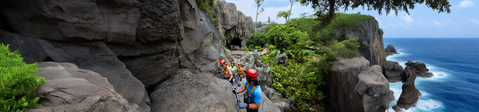 rainforest-wild-asia-sinagpore