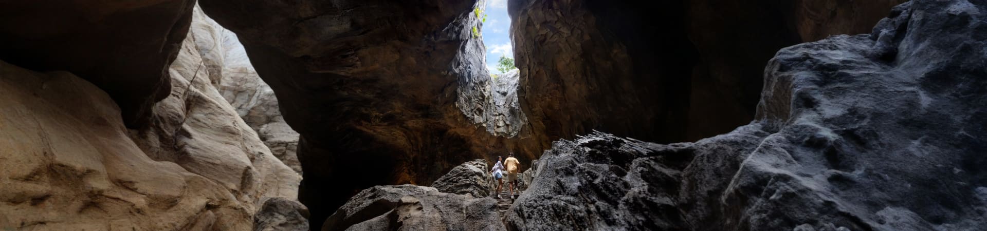 rain-forest-wild-asia