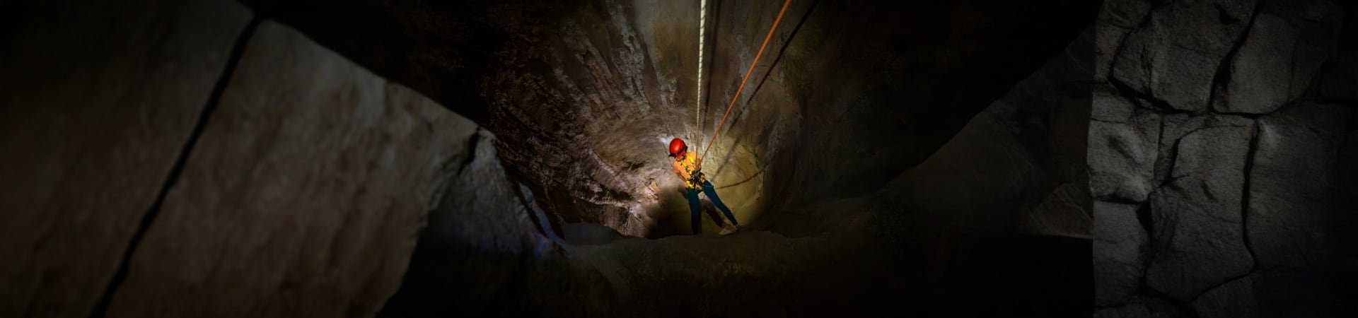 rain-forest-wild-asia