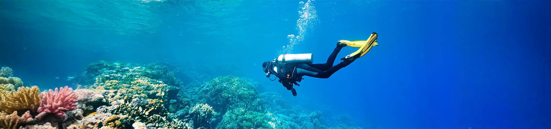 Scuba Diving Tour