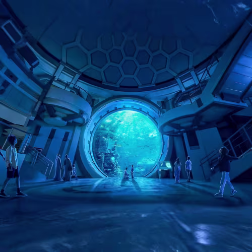 https://d1i3enf1i5tb1f.cloudfront.net/Tour-Images/Final/SeaWorld-from-Dubai-508807/1760009107461_S.jpg