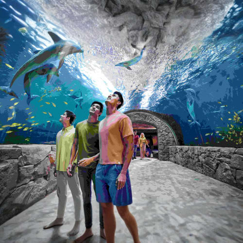https://d1i3enf1i5tb1f.cloudfront.net/Tour-Images/Final/SeaWorld-from-Dubai-508807/1760009447665_S.jpg