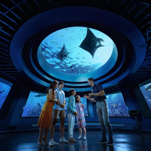 https://d1i3enf1i5tb1f.cloudfront.net/Tour-Images/Final/Singapore-Oceanarium-509472/1760772481327_S.jpg