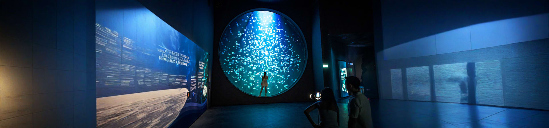 singapore_ocenerium_02