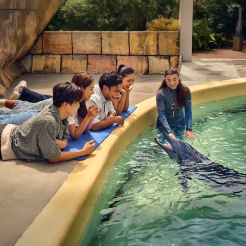 singapore_ocenerium_03