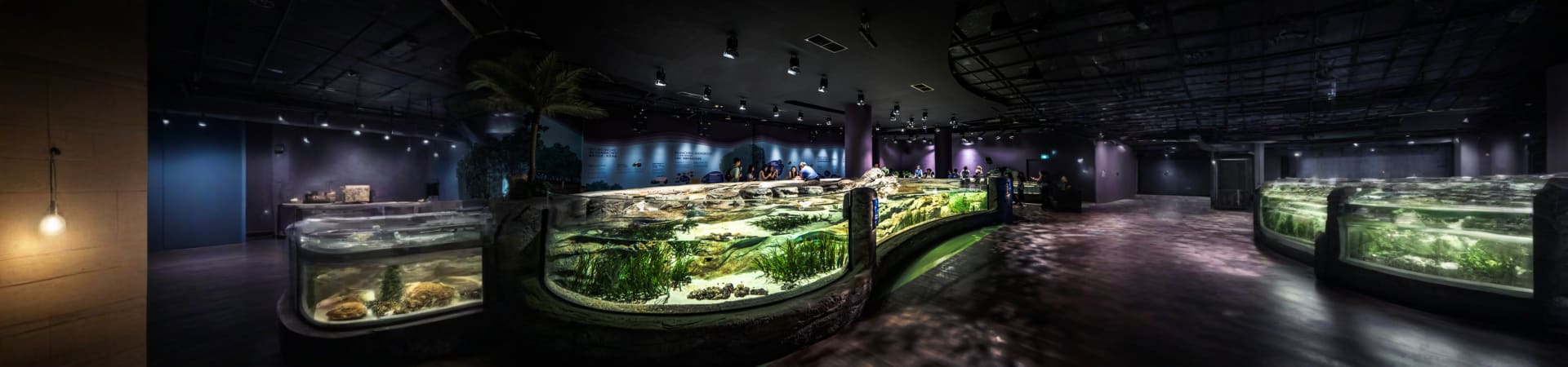 singapore_ocenerium_04