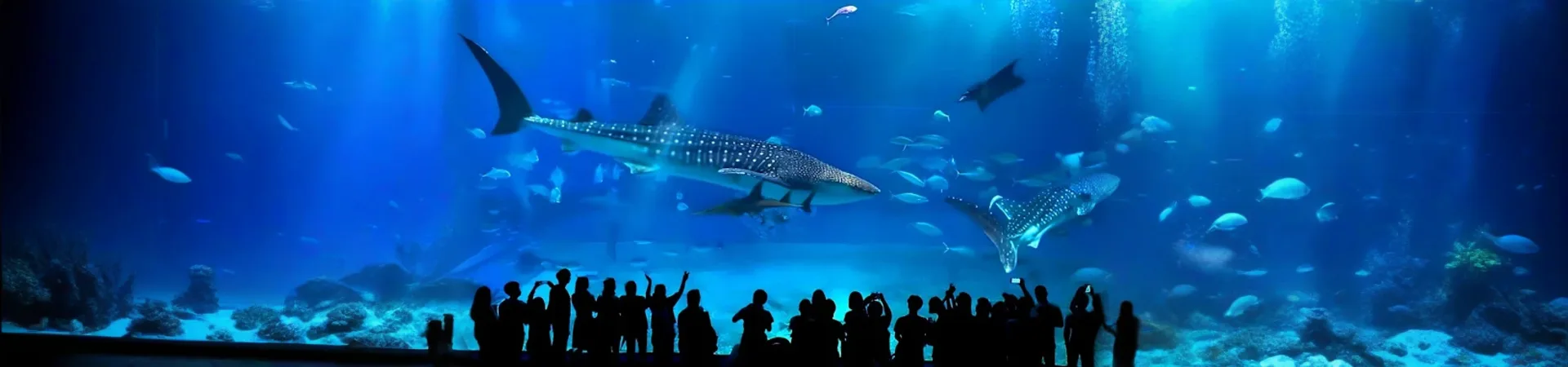 singapore_ocenerium_05