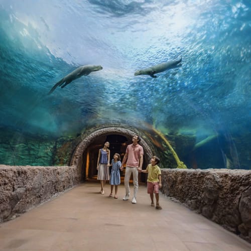 river-wonders-singapore