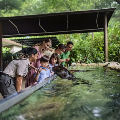 river-wonders-singapore-ticket-education