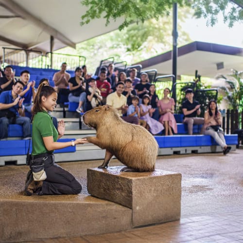 river-wonders-singapore-ticket-image